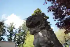 諏訪神社の狛犬