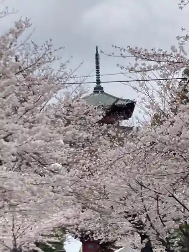 池上本門寺(東京都)