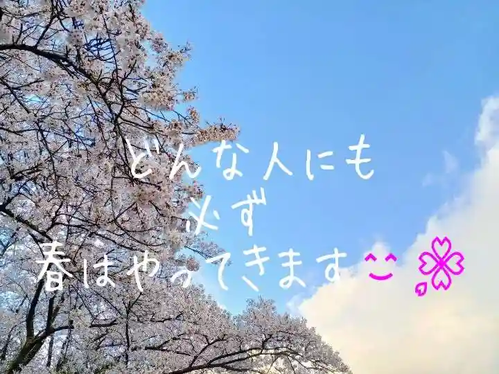 白狐山光星寺(山形県)