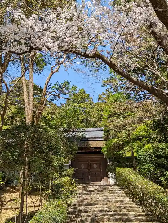 龍安寺(京都府)