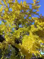 稲荷神社(福井県)