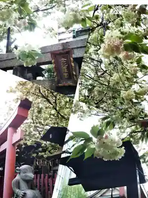 柳森神社(東京都)