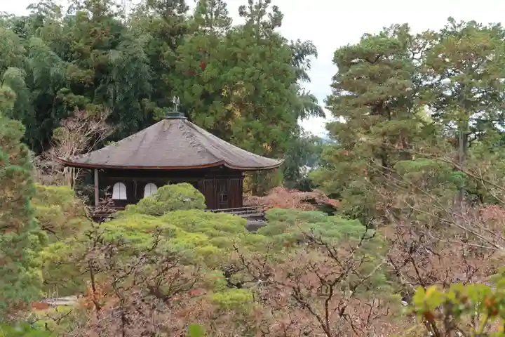 慈照寺(慈照禅寺・銀閣寺)の景色