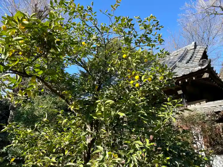 高円寺(東京都)