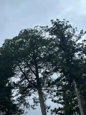 鬼鎮神社(埼玉県)