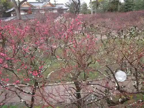北野天満宮(京都府)