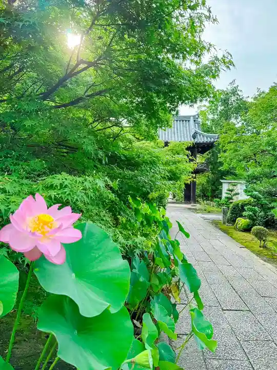 伊勢の国 四天王寺(三重県)