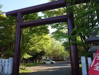 豊平神社の鳥居