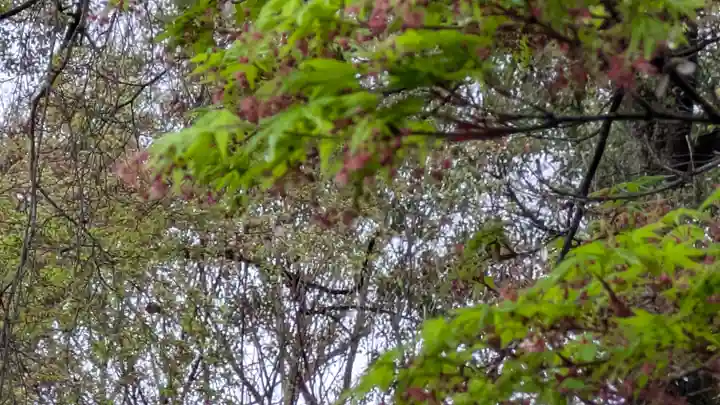 梨木神社(京都府)