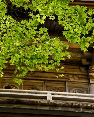 泰寧寺(群馬県)