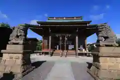 熊野福藏神社の狛犬