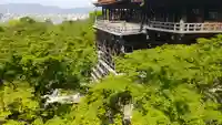 清水寺の本殿・本堂