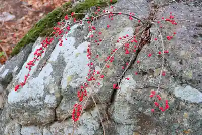 近津神社の自然