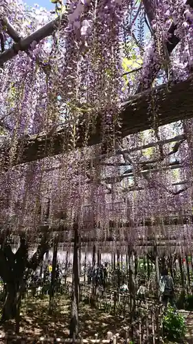 玉敷神社の庭園