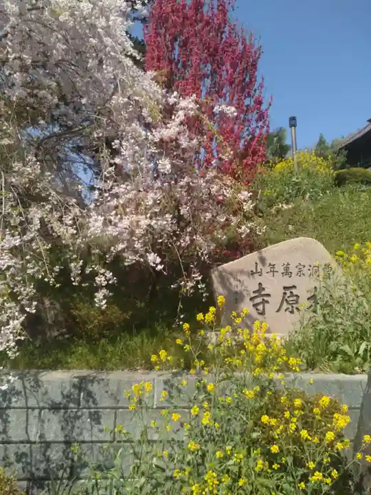 松原寺(福島県)
