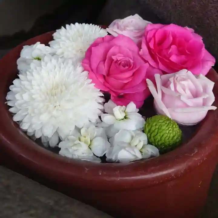 菅生神社の手水舎