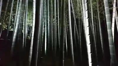 青蓮院門跡(京都府)