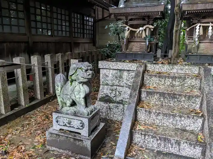 八幡社(柏井町)の狛犬