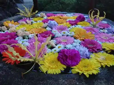 林泉寺の手水舎