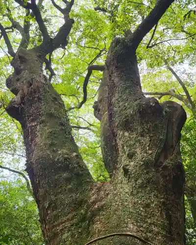 生田神社(兵庫県)