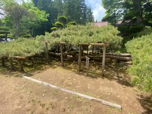 寺下観音の自然