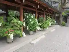 坐摩神社の建物その他