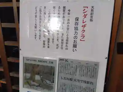 足羽神社(福井県)