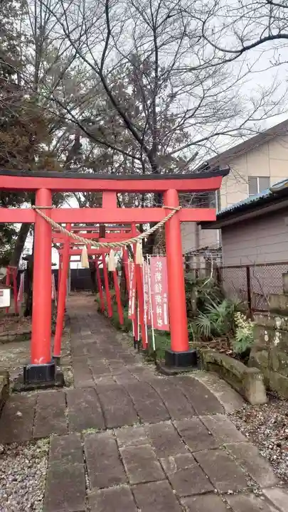 於菊稲荷神社(群馬県)
