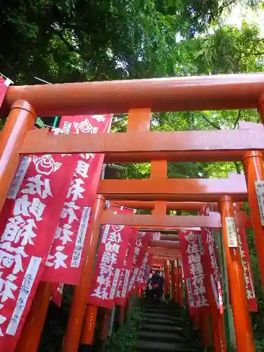 佐助稲荷神社の鳥居