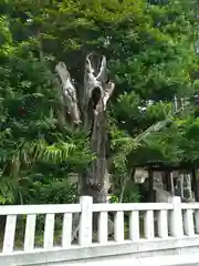 柏諏訪神社(千葉県)