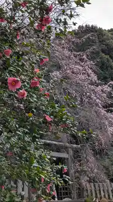 大豊神社(京都府)