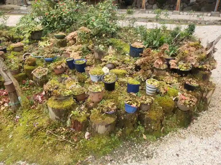 桃林寺(三重県)