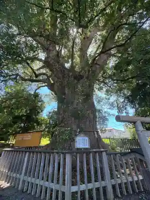伊勢神明社(静岡県)