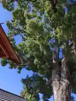 菅原天満宮(大阪府)