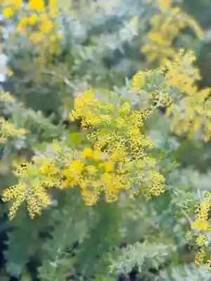 蔵前神社(東京都)