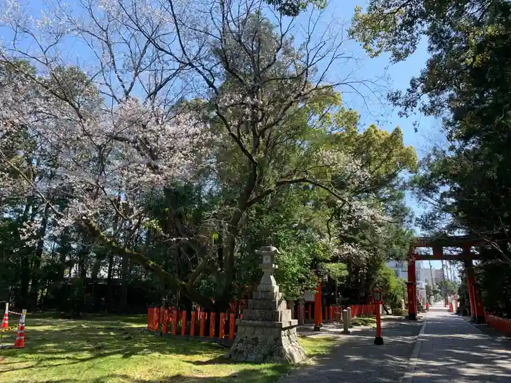 熊野速玉大社の自然