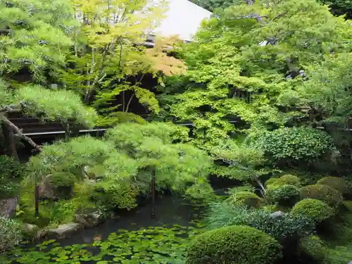 禅林寺（永観堂）の庭園