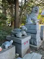 柴崎神社の狛犬