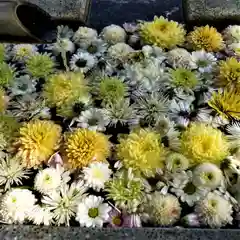  岳温泉神社 (福島県)