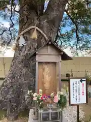 大法寺の仏像