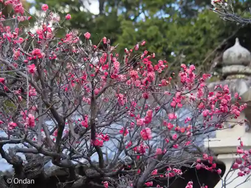 波太神社(大阪府)