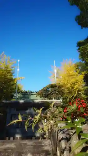 若宮神明社の自然