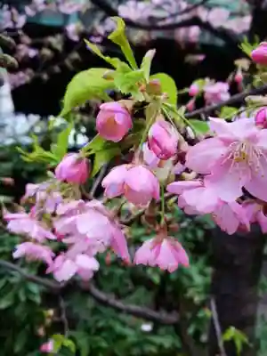 小野照崎神社(東京都)