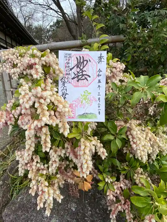 妙蓮寺(神奈川県)