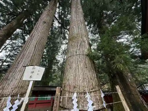 日光二荒山神社(栃木県)