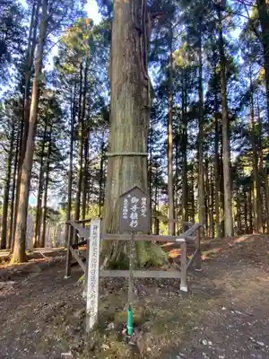 身延山奥之院思親閣(山梨県)