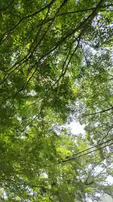 下総国三山　二宮神社(千葉県)