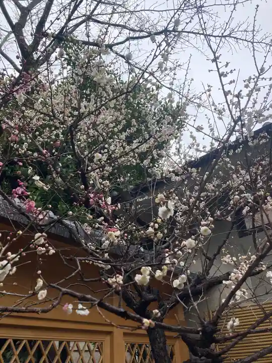 菅原院天満宮神社(京都府)