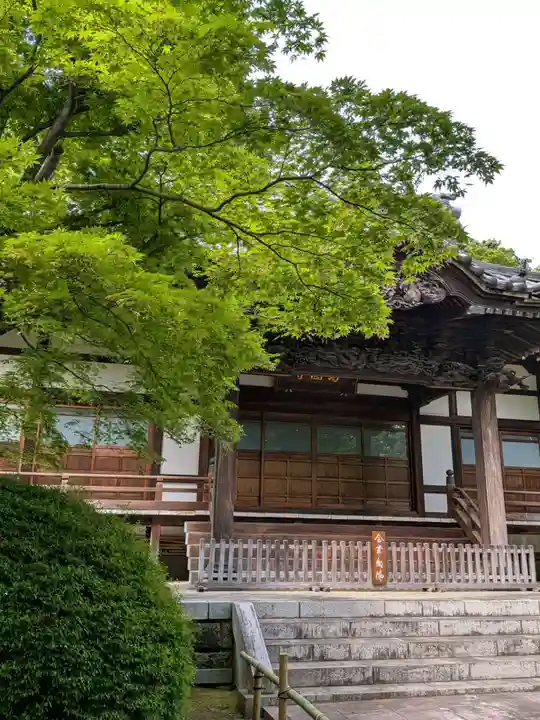 高円寺(東京都)