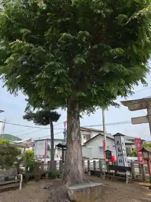 明石弁天厳島神社(栃木県)